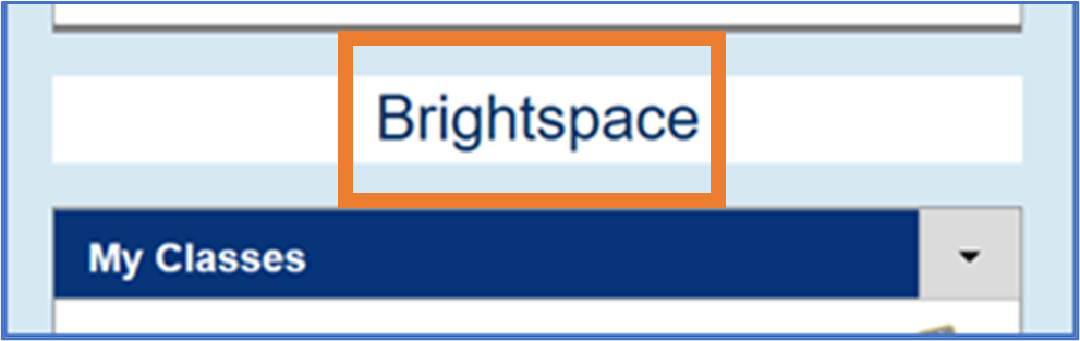 Brightspace Learn Anywhere